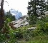 Jenny Lake Hike 4.jpg