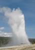 Old Faithful 1.jpg